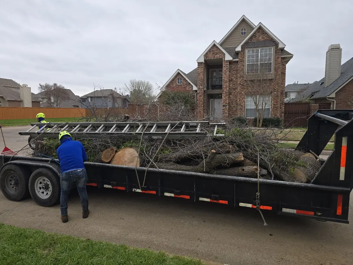 Expert Tree Pest Control with proper safety equipment in Mannford